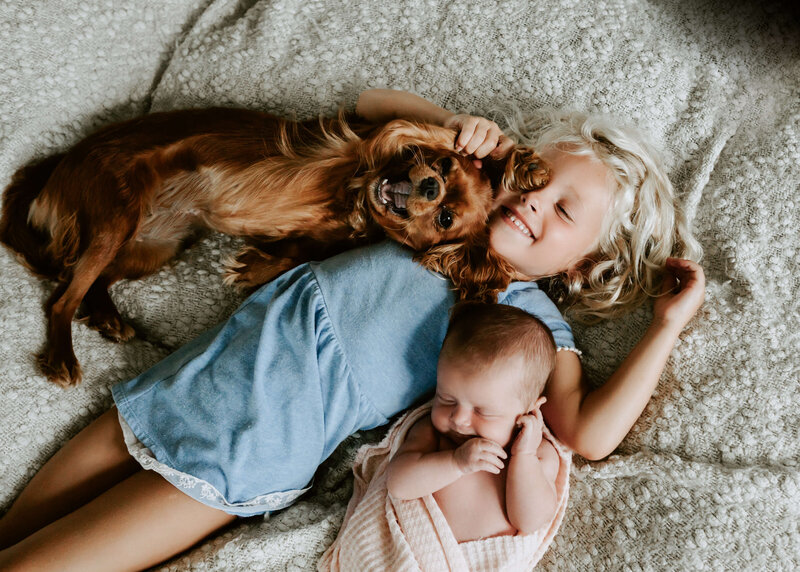 Pittsburgh family photographer captures two babies and a dog lounging on a blanket.