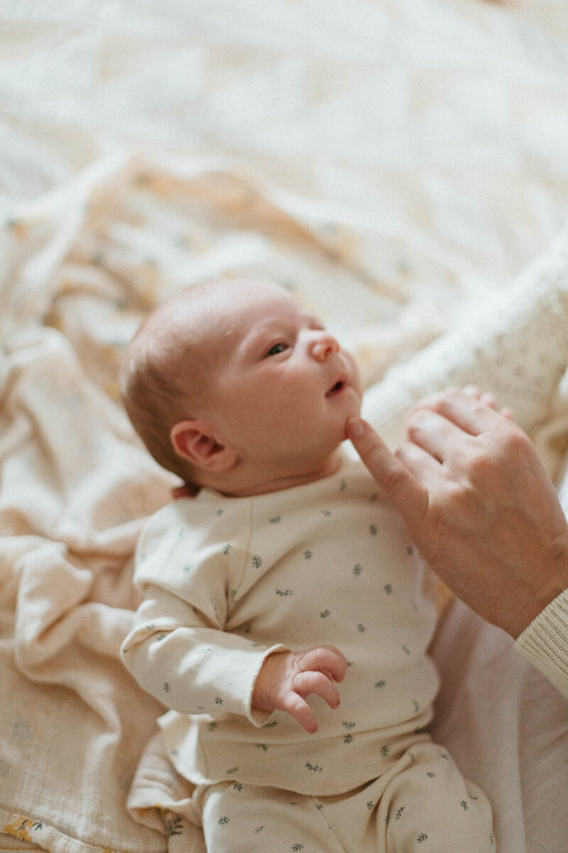 Newborn photographer in Boston