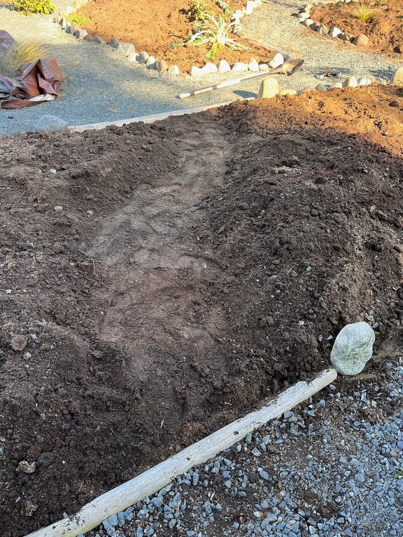 garden-bed