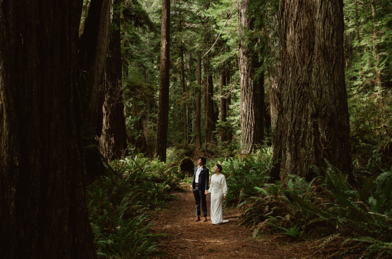 Newlyweds standing hand-in-hand on a trail in Redwood National Park on their wedding day