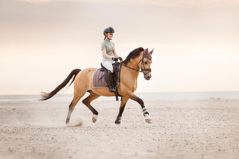 Een-blijvende-herinnering-aan-de-band-tussen-jou-en-je-paard--Homepage-banner