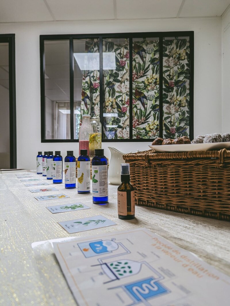 ateliers-de-naturopathie-a-lyon-2