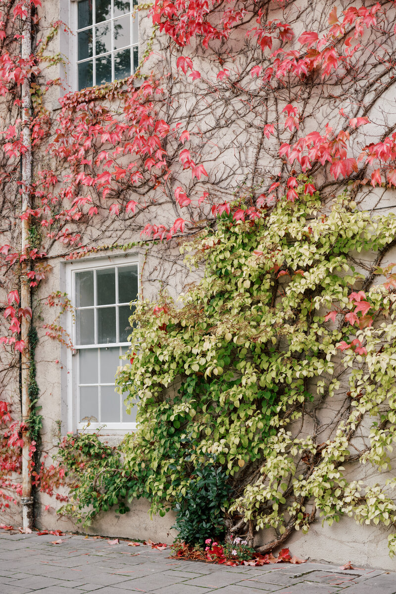 luttrellstown-castle-wedding-photos-hhp-47