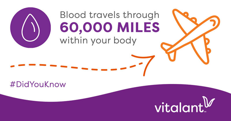 Blood Travels FB 1200x628