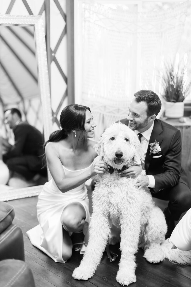 Bride and groom pose with dog at their Lyons, Colorado wedding. 