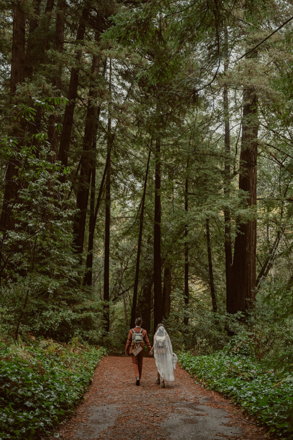 bride and groom in the trees at glen oaks in Big Sur