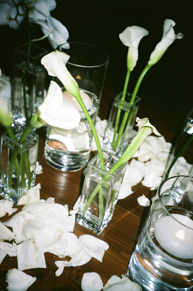 Maddie Briggs Photography-38