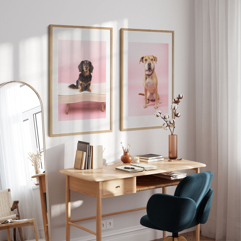 An interior shot of a wall and desk. On the wall are two framed photos of dogs.
