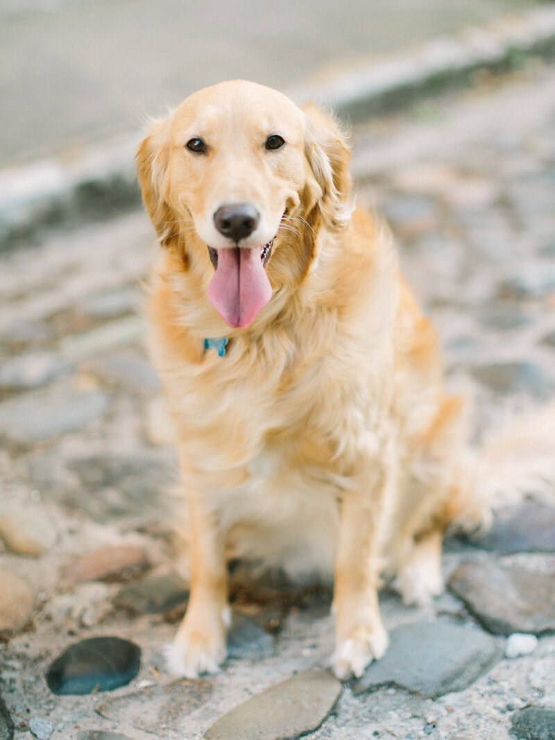 RachelRedPhotography-108