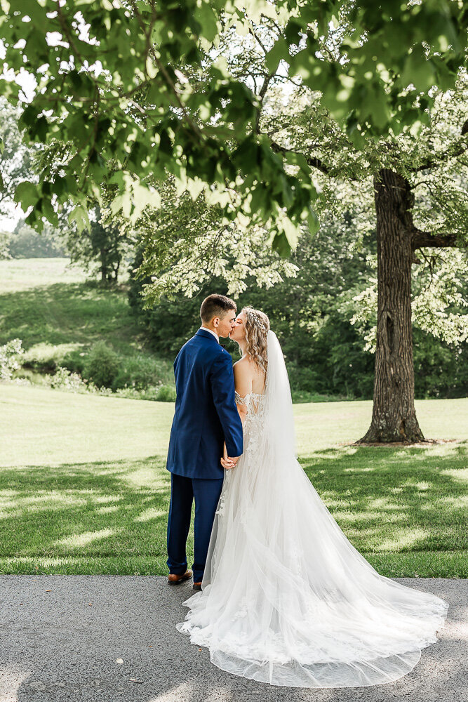 Bride and groom kissing while standing in front of a large tree