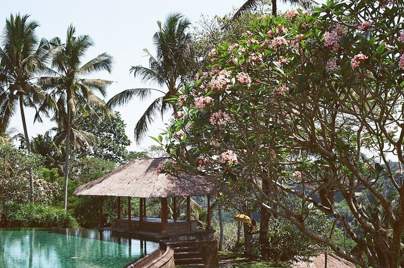 Image of travel photograph with flowers and a pool from NYC Photographer at ADP Studio