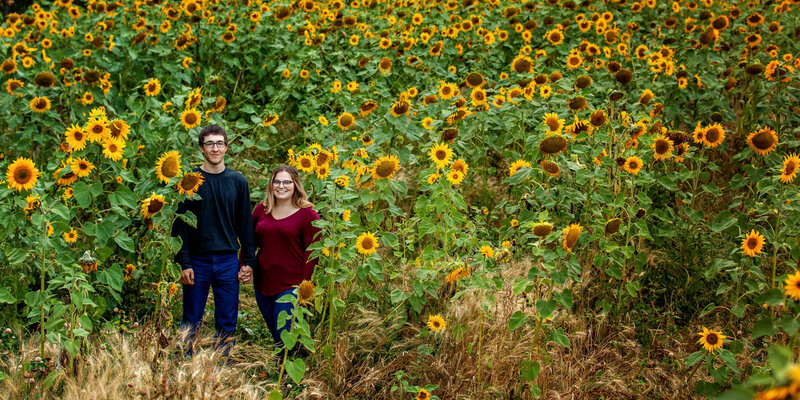 couple holding hands in a field of sunflowers