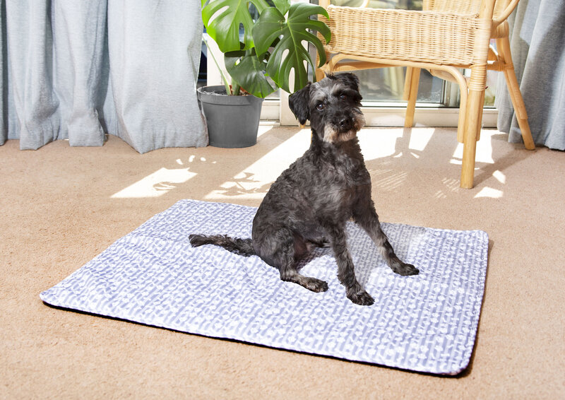 reusable puppy training pad