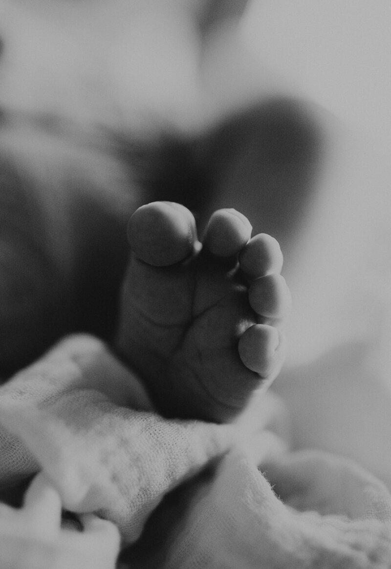 rex newborn1