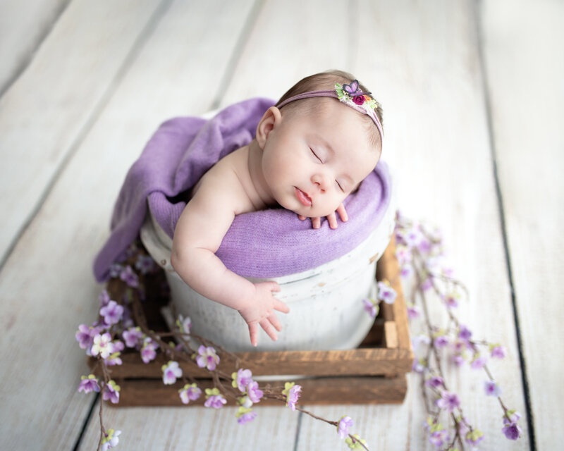 Newborn girl in a spring-themed portrait with purple blossoms and a rustic wooden crate in Paris, Ontario.