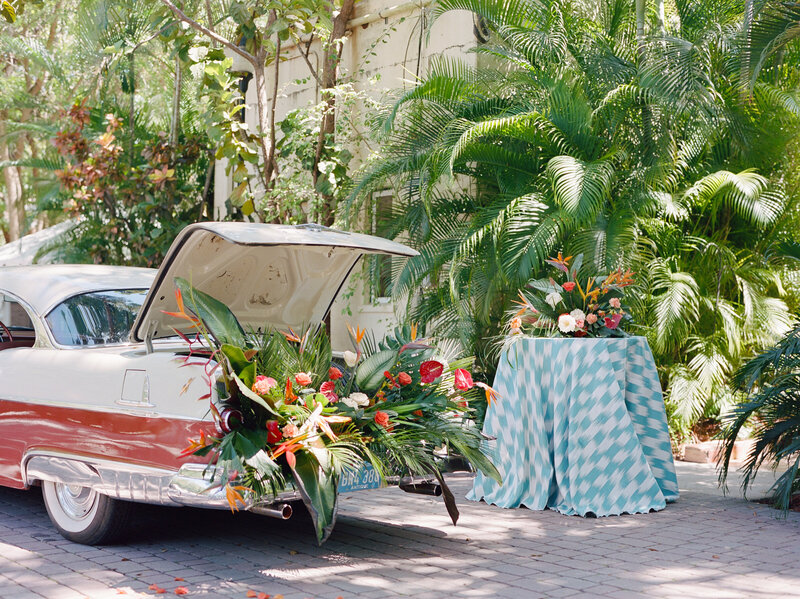 Tropical Foliage bursts from the trunk of a vintage car.
