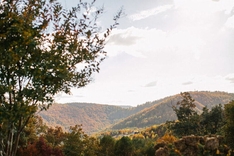 View of the Fall colored trees from the venue in Morganton NC.