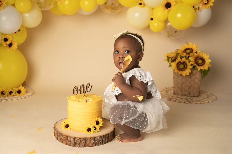 Houston Cake Smash First Birthday Baby Photography Photographer