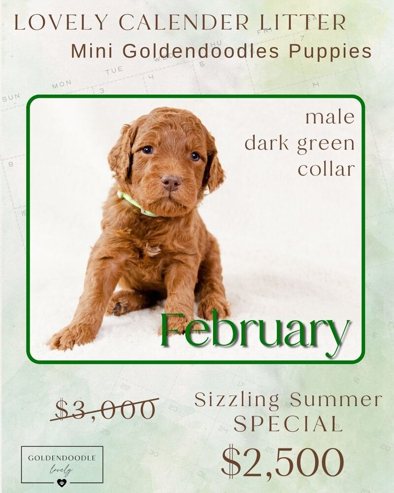 Calendar Lt Green February Male