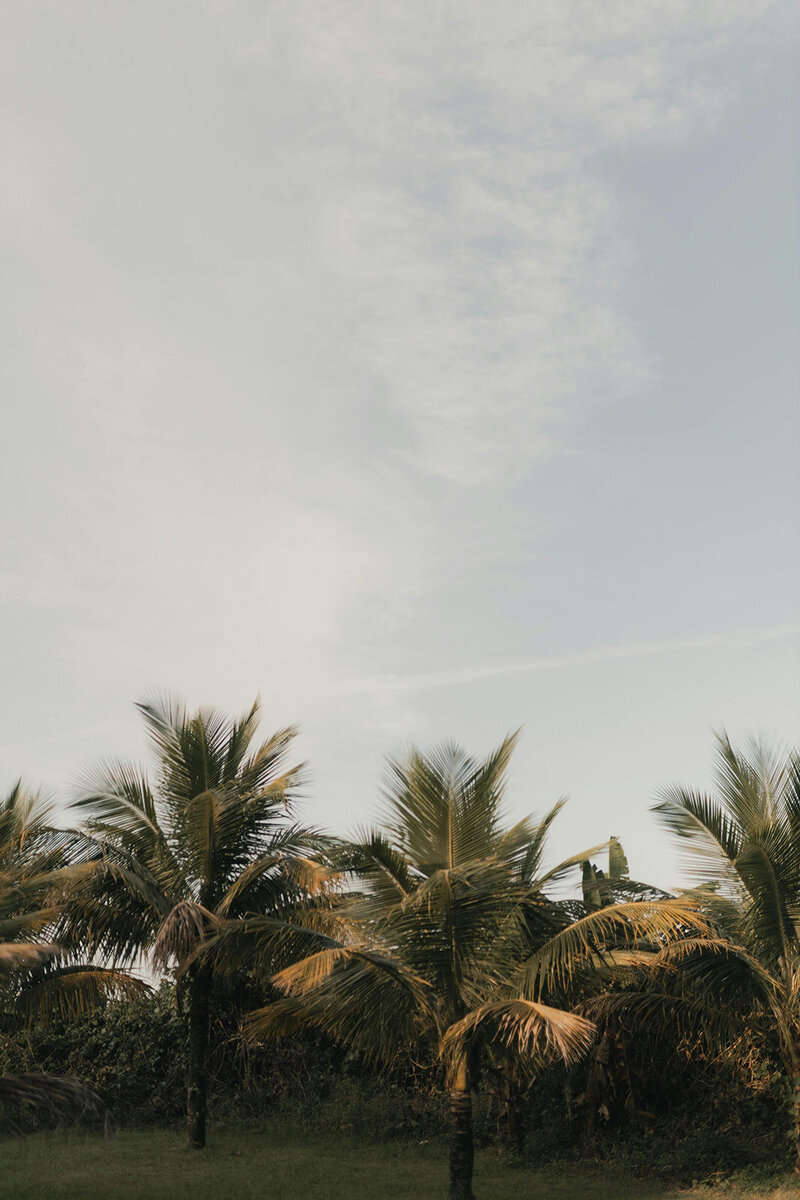 pexels-alexander-mass-748453803-32407540_websize