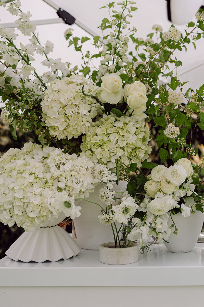 Ashleigh Haase Photography-159