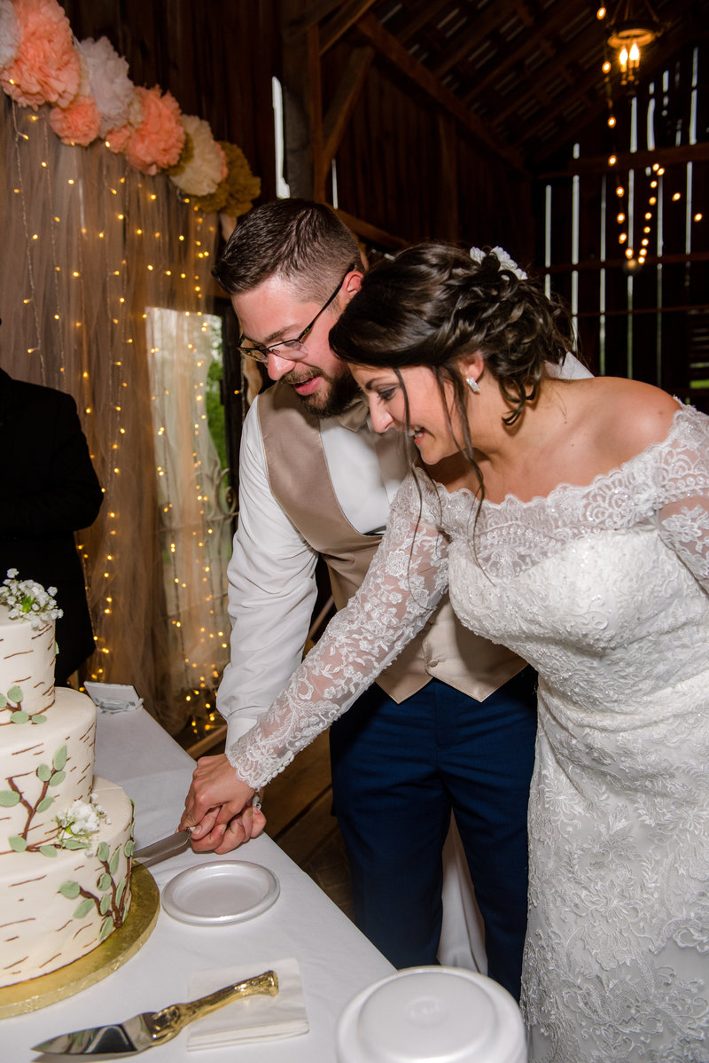 JandDstudio-wedding-gettysburg-brideandgroom-cakecutting