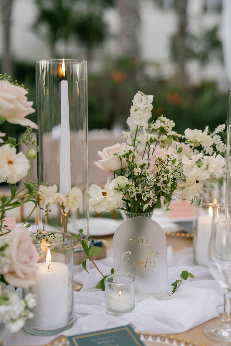 roula and wilder 09152024_erica streelman photographer-848