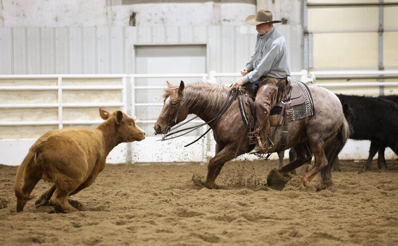 Action shot of a man riding a horse in a rodeo