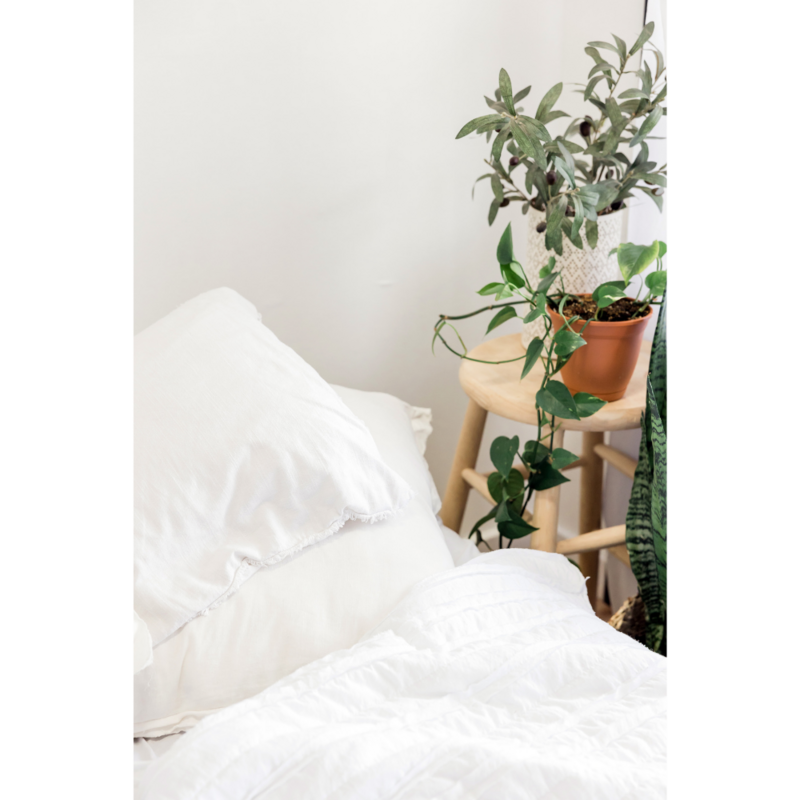 Potted succulents sitting on a stool next to a bed.