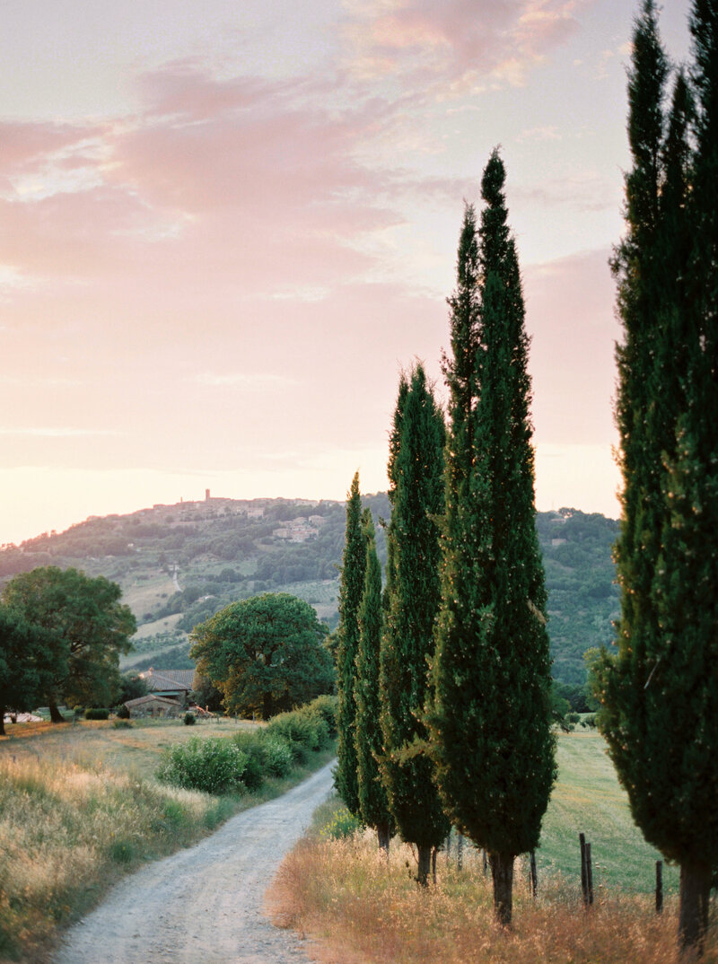 Treelined road at sunset in Tuscany