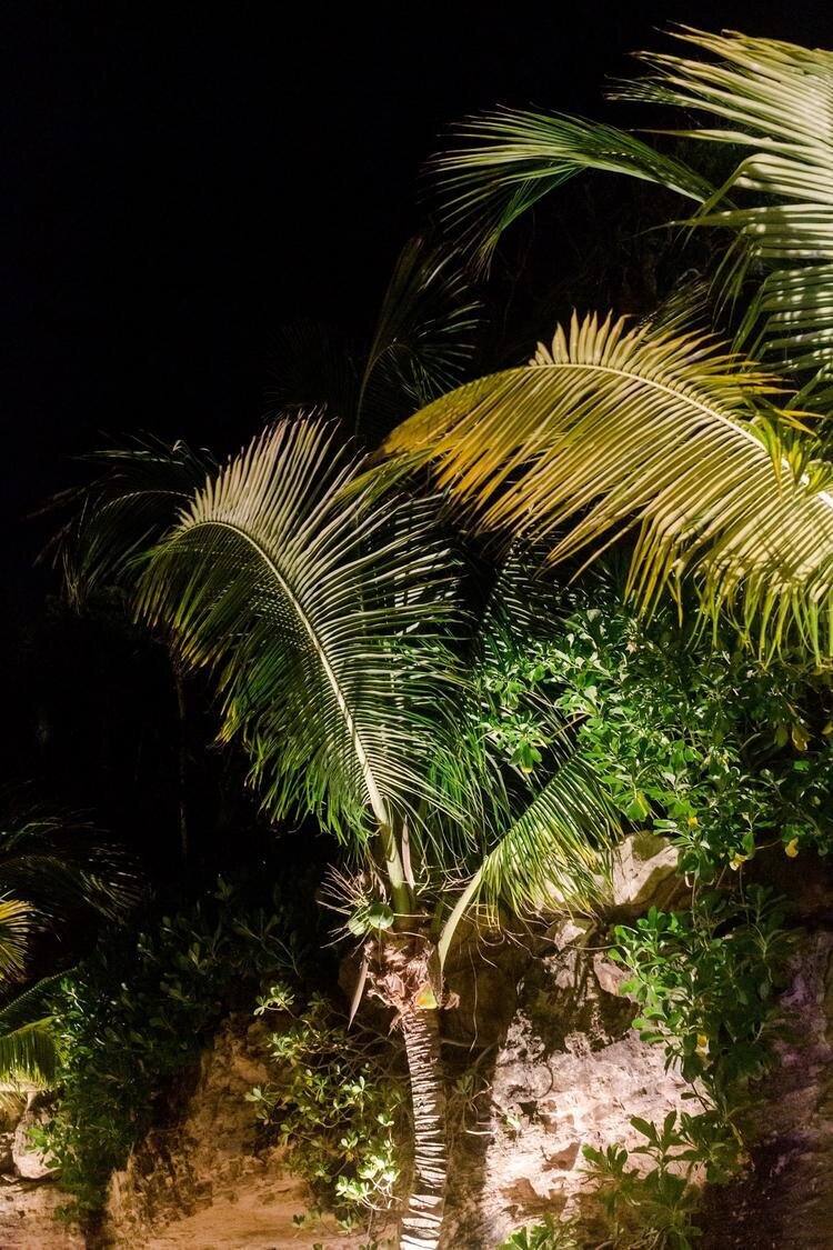 Hotel-Xcaret-Mexico-Colorful-Destination-Wedding-199.jpg