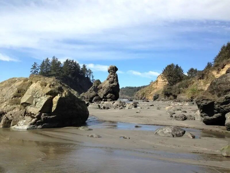 Beautiful College Cove Beach near therapeutic yoga teacher training location California