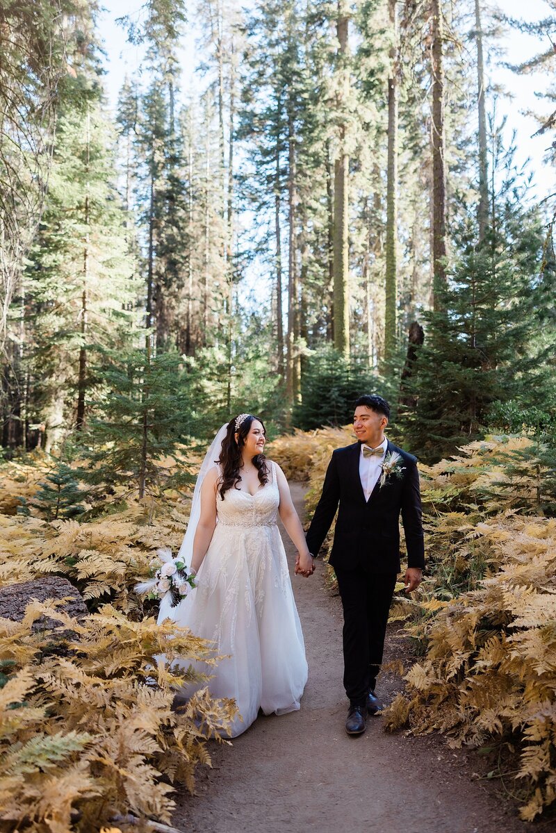 A bride and groom walk hand in hand along Crescent Meadow in Sequoia National Park.
