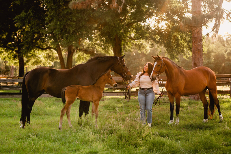 Girl Poses Beautiful Horse High Quality Stock Photo 2317924565 |  Shutterstock