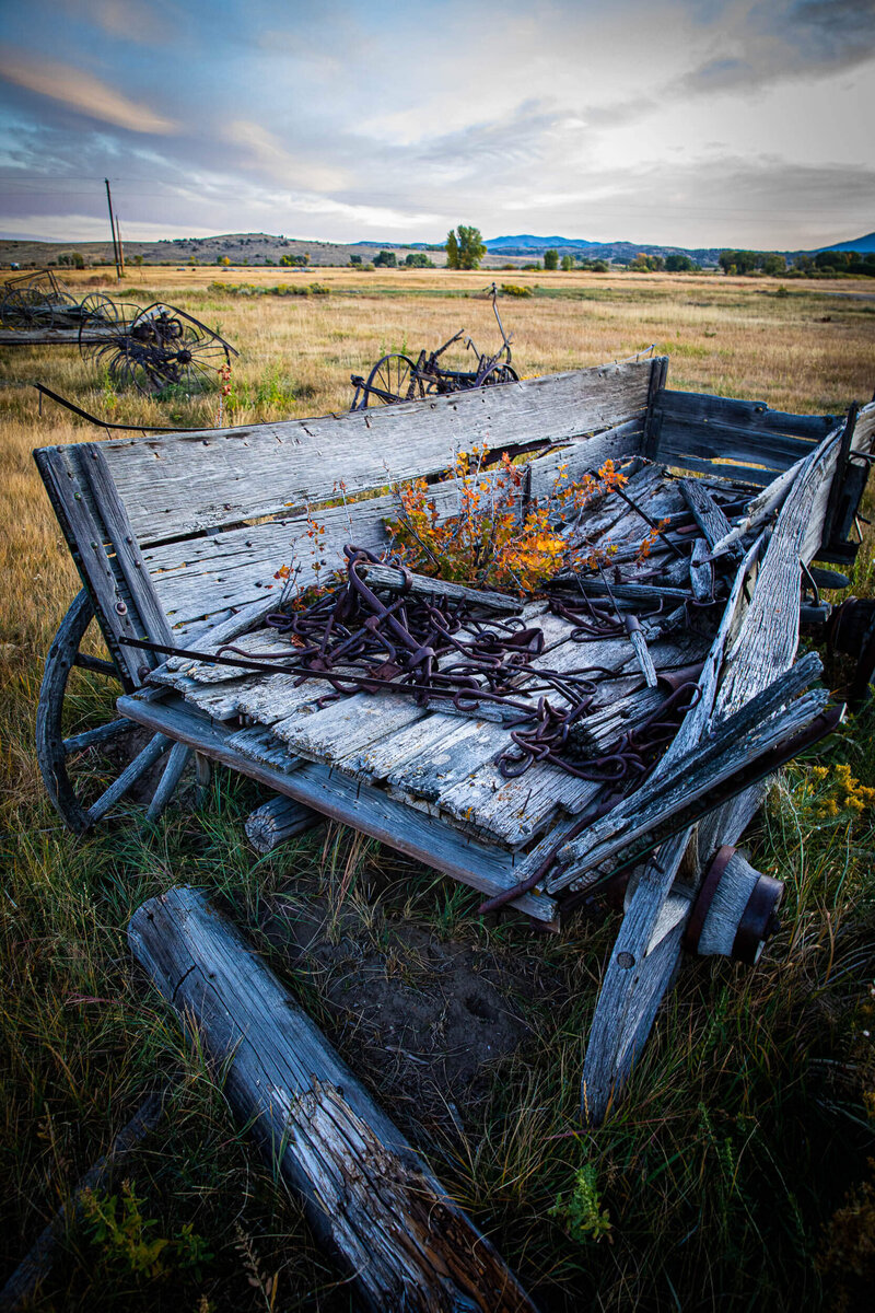 Rustic wagon on ranch