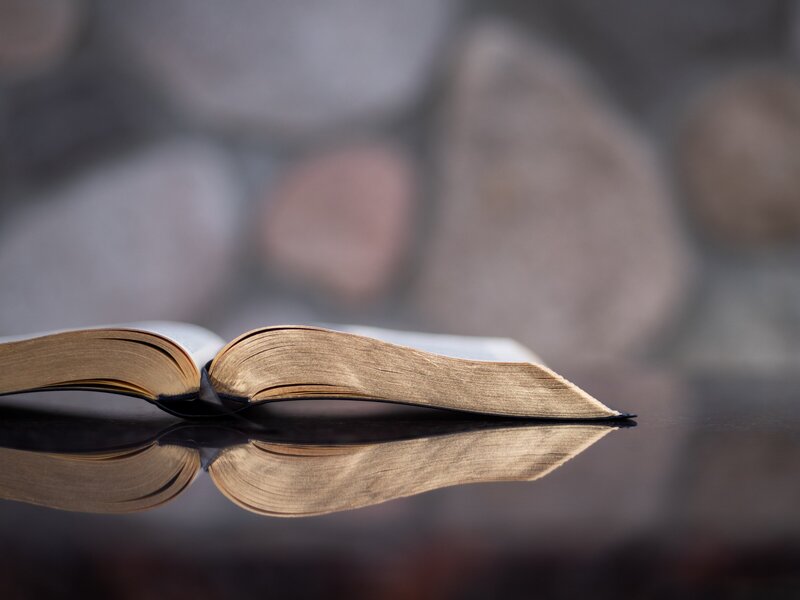 Bible study