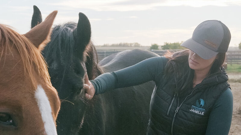 Spirit’s Respite Ranch coach gently petting a black horse, fostering connection and trust in a peaceful ranch setting.