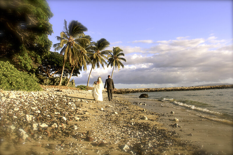 Caroline Morey Wedding Photographer Maui Destination Wedding Olowalu Plantation Wedding110413_7045184 x 3456