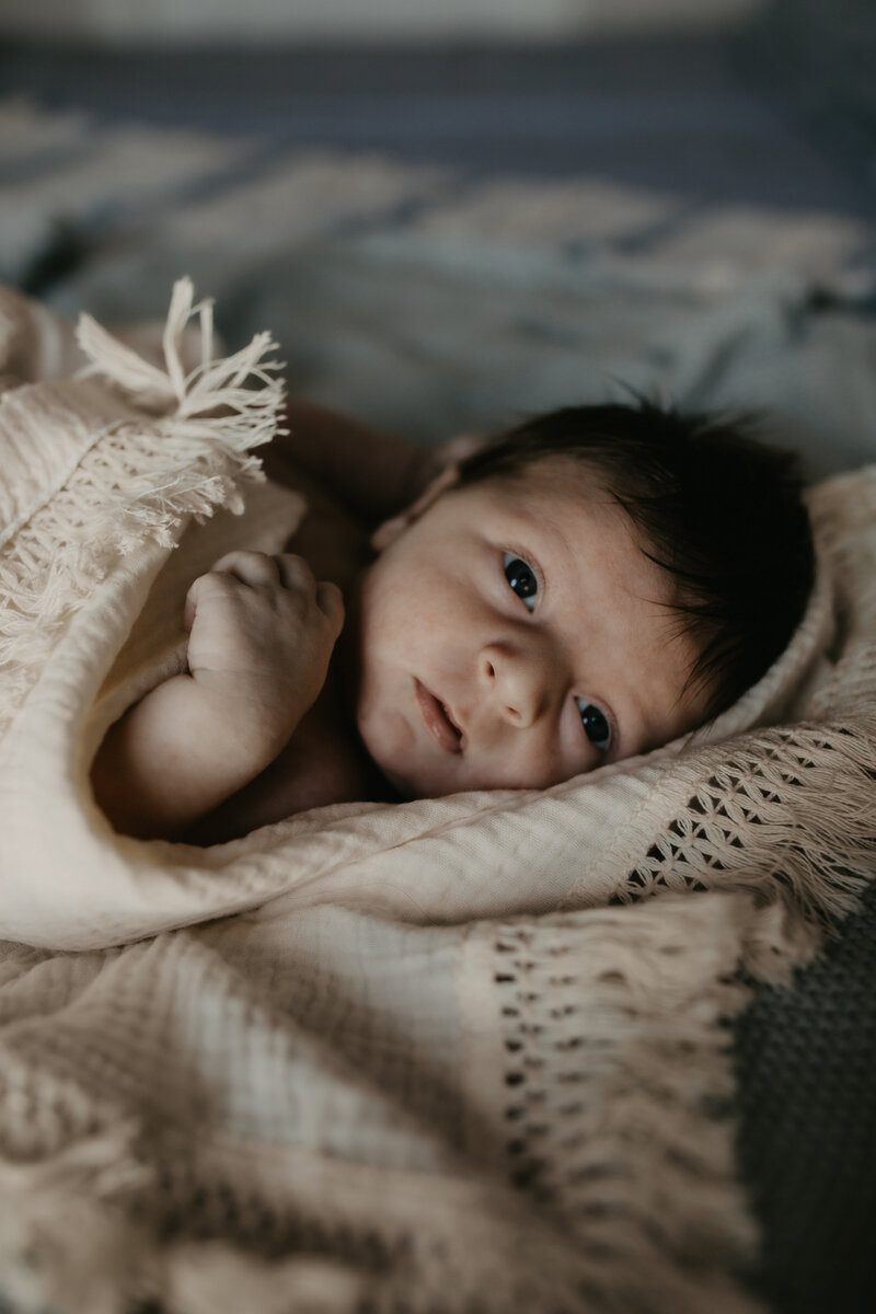 rex newborn11