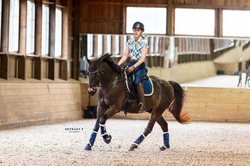 Kynynmont Jamison O'Grady, 2019 Connemara gelding for sale