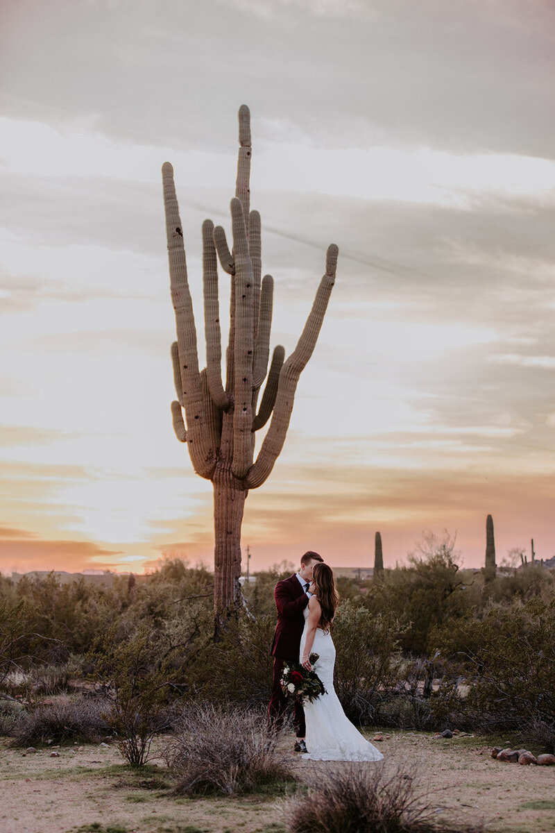 bride and groom standing in the desert and kissing at sunset