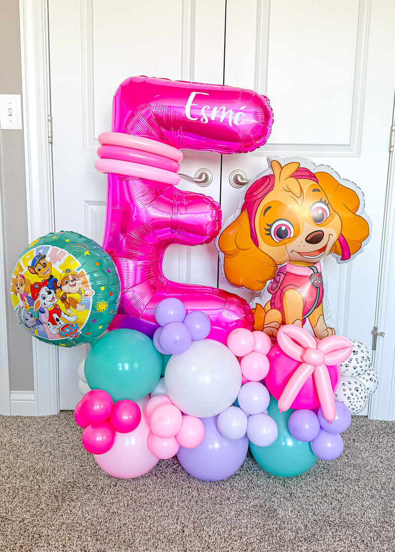 balloons-bismarck-nd-146