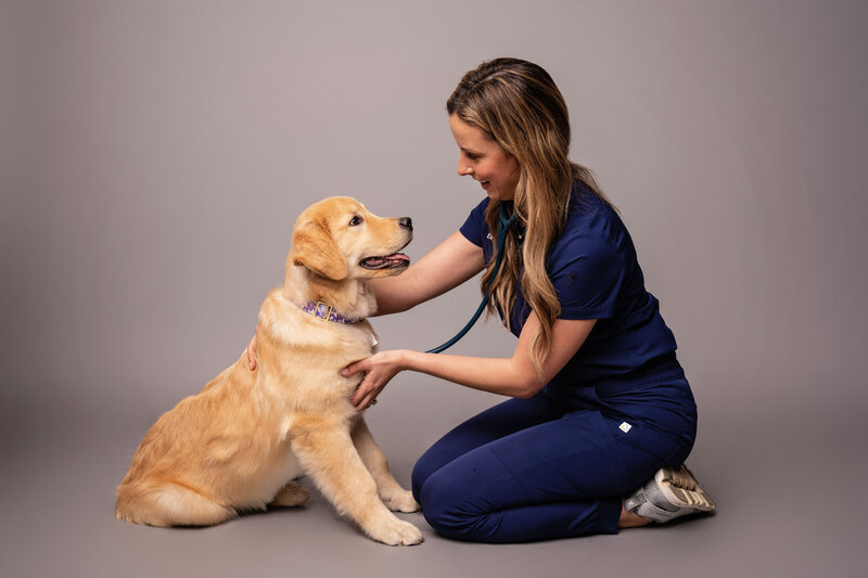 commercial dog photographer veterinarian