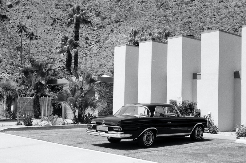 Dear Palm Springs-42