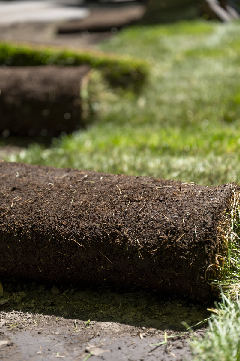 raking dirt before laying sod 
