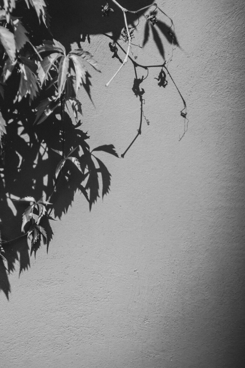 pexels-moklebust-9202552 2