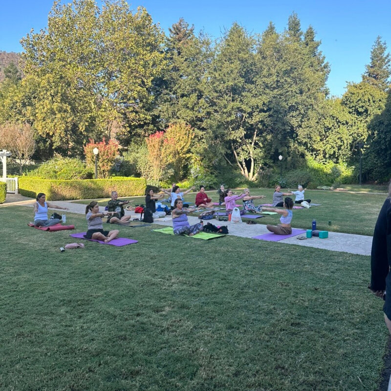 2024 Soul Retreat California womens wellness and spiritual retreat hosted by healer Dana Haines at wonder valley resort, next retreat in oceanside california at mission pacific