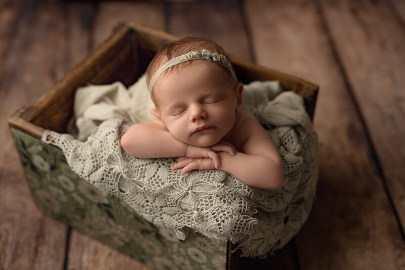 Styled with vintage green florals and heirloom lace, this newborn portrait blends elegance and rustic charm in our Paris studio.