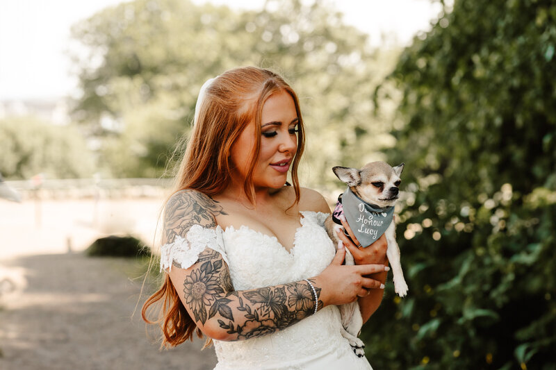 Pug dog smiling at scottish wedding venue