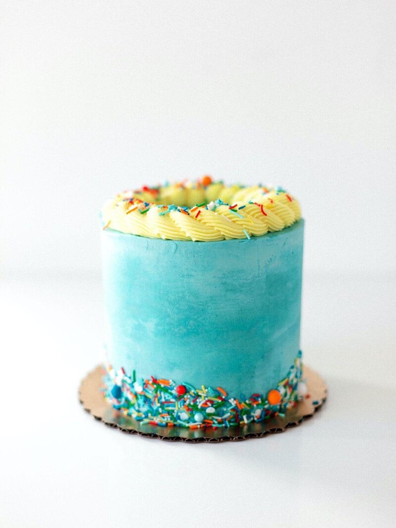 Celebration cake_Teal_Rope border_Sprinkles (1)